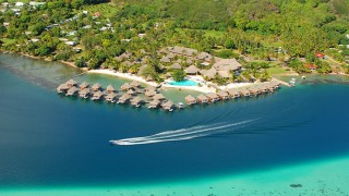 【ポリネシア】イルカとキッス!手付かずの自然が残る「モーレア島」
