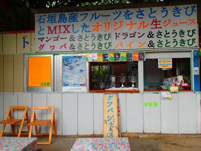 石垣の癒しスポット!天然記念物のヤエヤマヤシ群落を探検