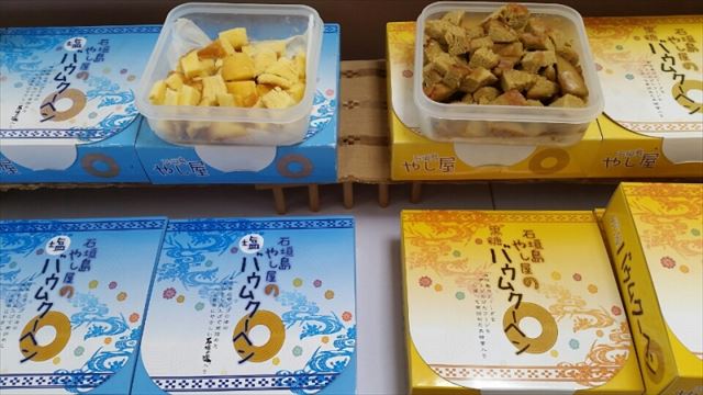 石垣の癒しスポット!天然記念物のヤエヤマヤシ群落を探検