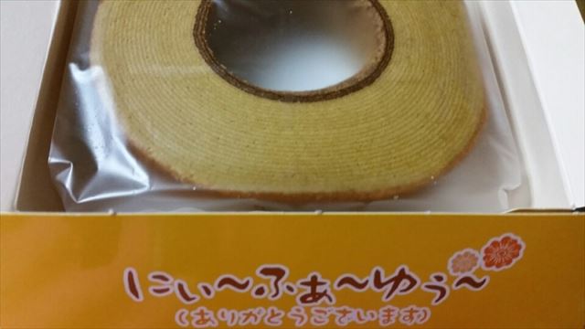 石垣の癒しスポット!天然記念物のヤエヤマヤシ群落を探検