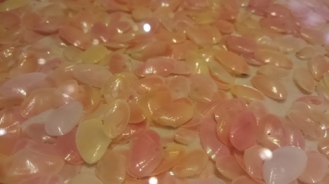 ハワイ料理が食べられる。ダブルレインボー自慢のロコモコ