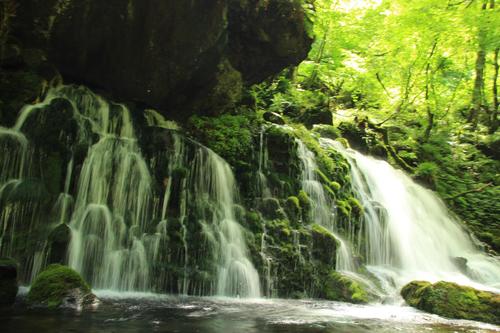 豊かな水、美しい自然。苔むす岩と元滝伏流水を散策