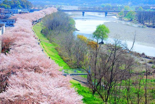 今週どこ行く?東京都内近郊おすすめイベント【3月27日〜4月2日】無料あり