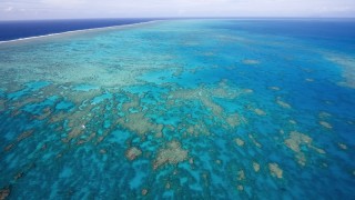 そこは世界最大の珊瑚帯！世界遺産の「巨大貝」が大きすぎる