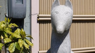 湯田温泉のゆるキャラ「白いキツネ」に会う旅