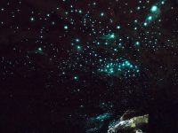 神秘の洞窟！数千万年のときを超えた、地下に眠る星空