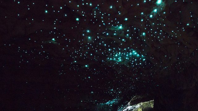 神秘の洞窟！数千万年のときを超えた、地下に眠る星空 | TABIZINE