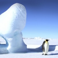 南極に旅行できるか調べてみた