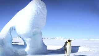 南極に旅行できるか調べてみた