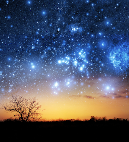空気が澄んだ冬こそチャンス！世界で出会う「美しい星空」たち