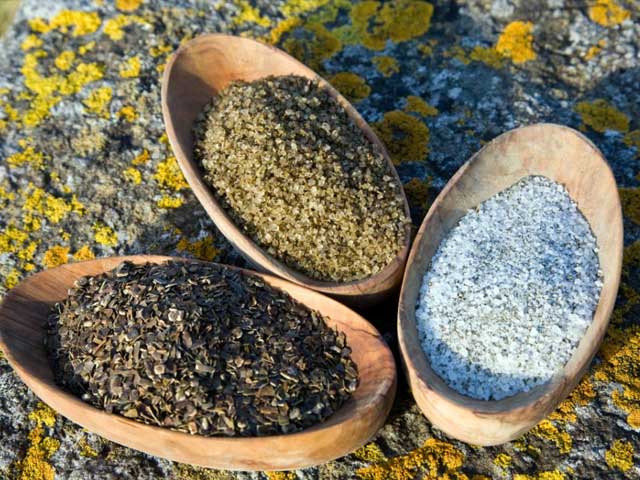まるで胎内にいるかのように心地よい、海と一体化して泊まれるホテル