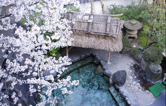 温泉で愛でる満開の桜。春の小旅行に「花見露天」という選択