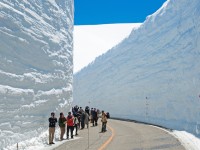 巨大な雪の壁に息を呑む！春の立山黒部アルペンルート