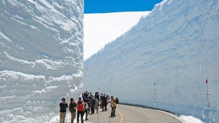 巨大な雪の壁に息を呑む！春の立山黒部アルペンルート
