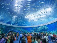 ギネス記録を更新！中国に誕生した規格外な「世界最大の水族館」