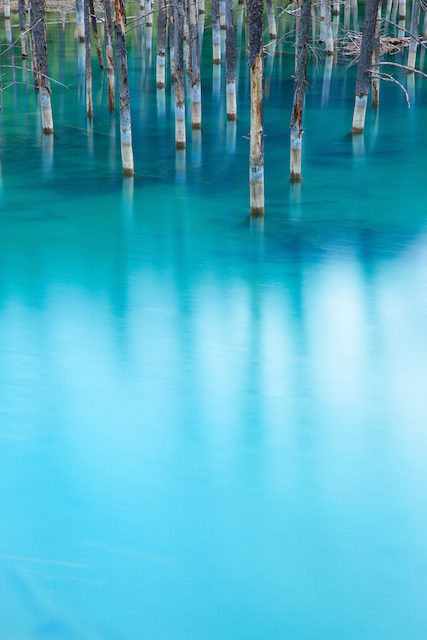日本の絶景 世界に認められた幻想的な 青い池 Tabizine 人生に旅心を