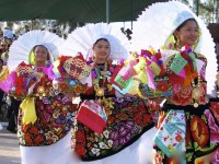 日本でもメキシコ気分！キュートな雑貨天国「オアハカ」を体感するイベント