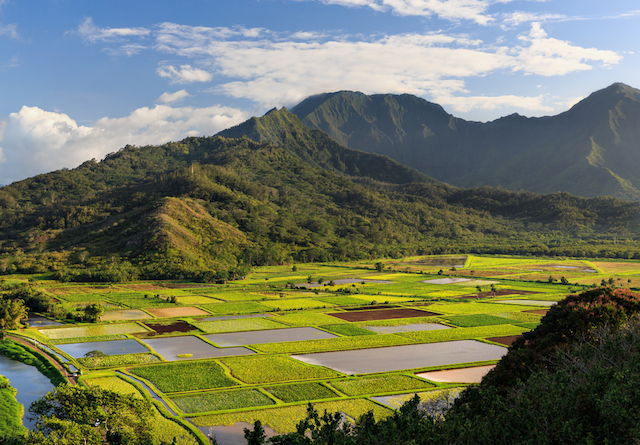 緑豊かな絶景が魅了するハワイ、カウアイ島 (2/2) | TABIZINE～人生に旅心を～