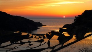 風景を愛そう。写真旅のベストフレンド・パシャデリックって?