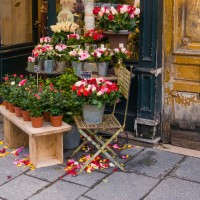 【文化の違い】パリで元気が出る花束を注文したら、とんでもなく悲しい花束に