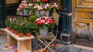 【文化の違い】パリで元気が出る花束を注文したら、とんでもなく悲しい花束に