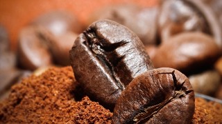 コーヒー豆からバイオ燃料？世界のユニークな環境ビジネス