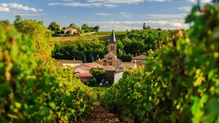【フランス】ワイン博物館にワイン祭り、ブルゴーニュのワイン街道