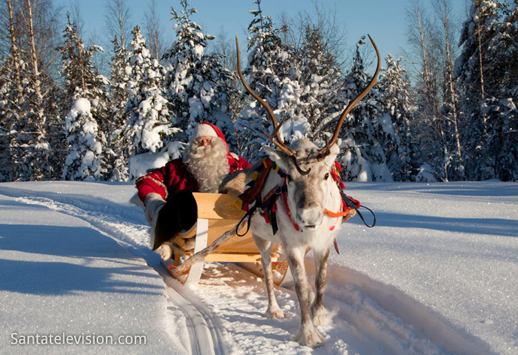 【フィンランド】サンタって本当にいるの？サンタクロース村、夢の光景