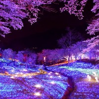 日本夜景遺産！この冬、絶対に観ておきたい都内近郊イルミネーション4選