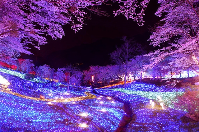 日本夜景遺産！この冬、絶対に観ておきたい都内近郊イルミネーション4選