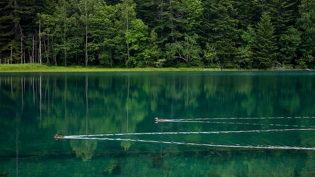 気持ちが高ぶって落ちつかないときに 癒しの世界七絶景 Tabizine 人生に旅心を