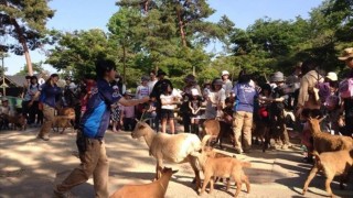 冬にはカピバラ温泉も!見るだけじゃない、埼玉の穴場動物園