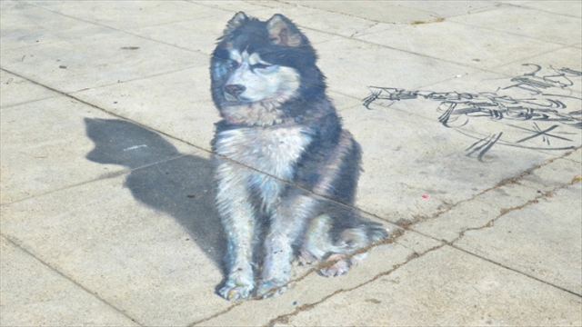 立体な犬のストリートアート