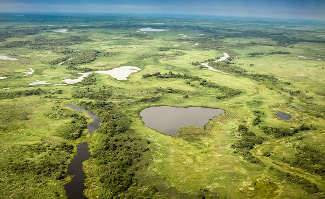 【世界遺産】地球に残された生命の楽園、南米に広がる大湿原「パンタナール」