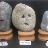 日本でたった一つ！マニアックすぎる博物館「珍石館」
