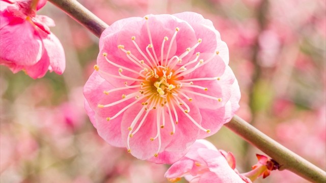31205-01-640x360.jpg
