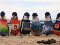 ペンギンのセーター