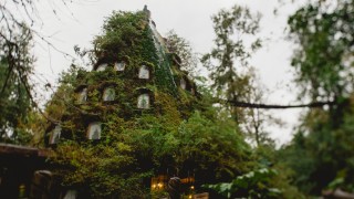 まるでファンタジーの世界！神秘の森の奥に、植物で覆われた不思議なホテルが・・・