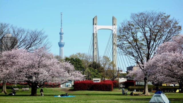 涼しくなって公園にピクニックいかがですか JAPAN AIRLINES【JAL】 on X: 