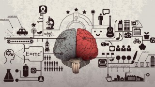 【ライフハック】脳の特徴を活かしてあなたの学習効率を最大化させる方法