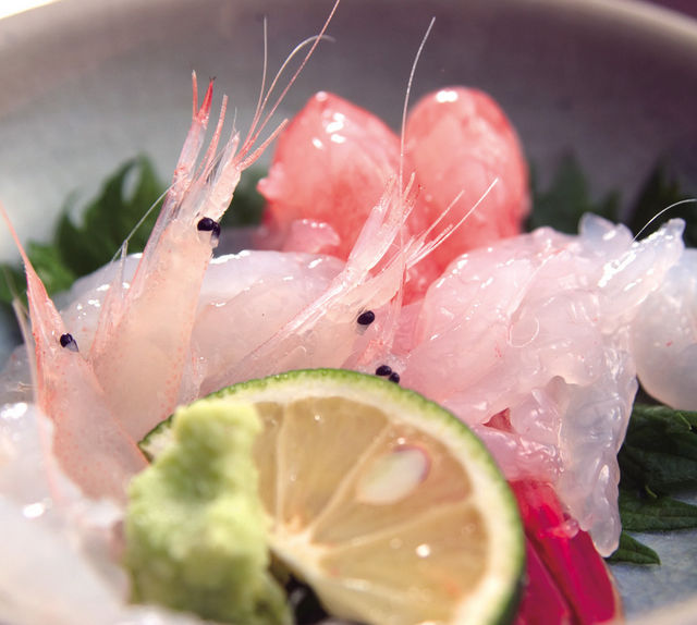 【今が旬】富山湾の「シロエビ」を食べずに魚介類を語るなかれ！