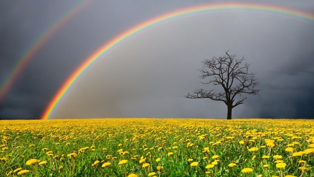 梅雨が楽しみになる こんな虹 見たことある Tabizine 人生に旅心を