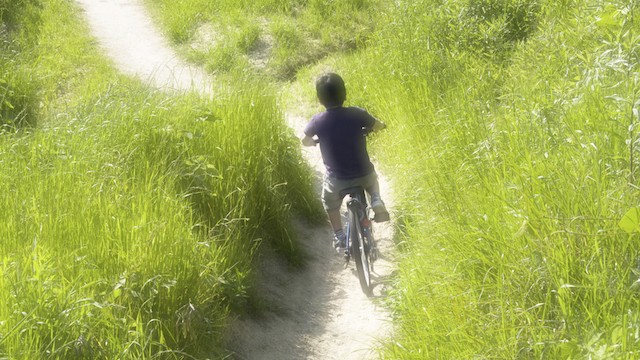 懐かしさと切なさが交錯する季節 夏 あなたの心にサウダージはありますか Tabizine 人生に旅心を