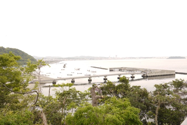【観音崎】リゾート気分満点の海沿いの散歩道