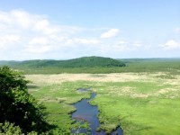 【北海道】森の声に癒される、夏の釧路湿原