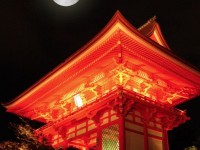 京都でお月見を楽しむならここ　風情溢れるお月見スポット5選