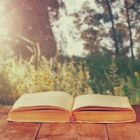 人生に旅心をくれる、読書の秋に読みたい本７選