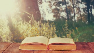 人生に旅心をくれる、読書の秋に読みたい本７選