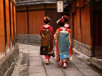 京都旅行の前に要予習！芸妓と芸子と芸者と舞子の違い