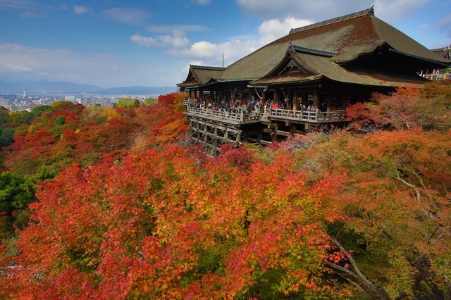世界の３７０万人が「いいね！」した、５人の外国人が伝える京都の魅力とは？
